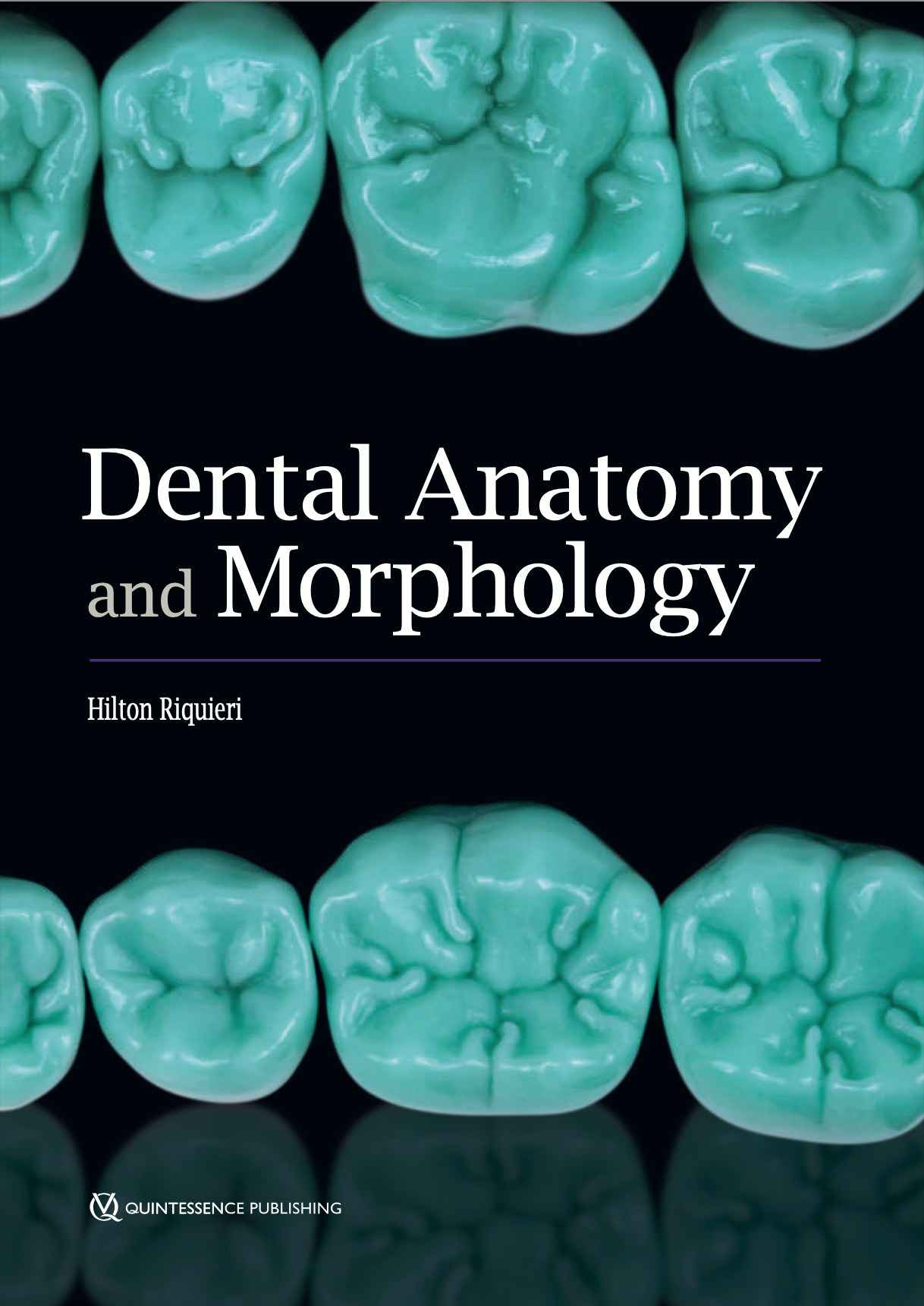 Dental Anatomy and Morphology